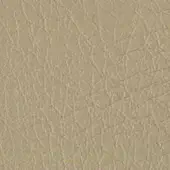 Beige leather texture with raised linear pattern, matte finish, and organic branching structure, warm neutral tone, subtle surface irregularities.